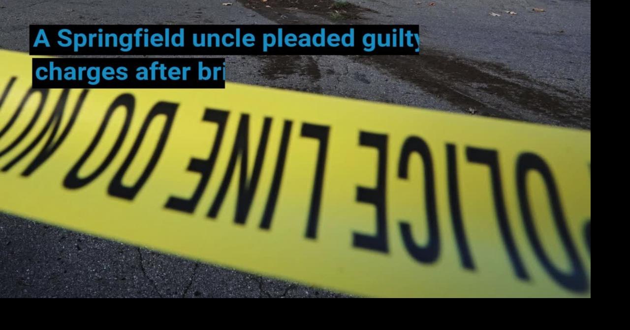 Springfield man pleads guilty to charges of child endangering | News ...