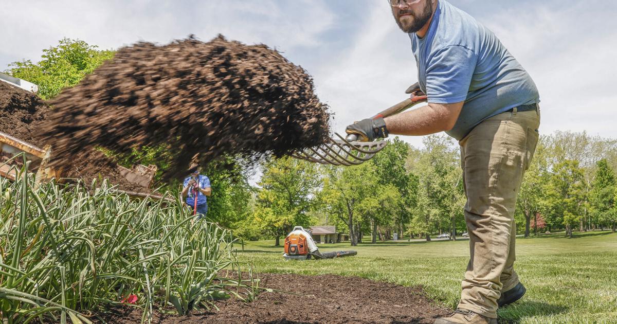News and events happening in the Springfield area