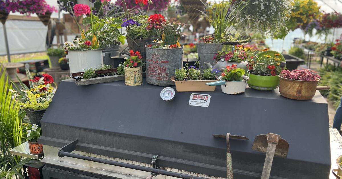 Christian Robbs Springfield Christian Bros Meat Company, 3 Sisters Flower Farm to open Springfield ...