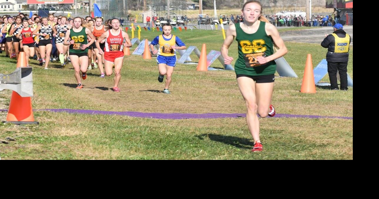 Addie Engel of Catholic Central wins state cross country title | Sports ...