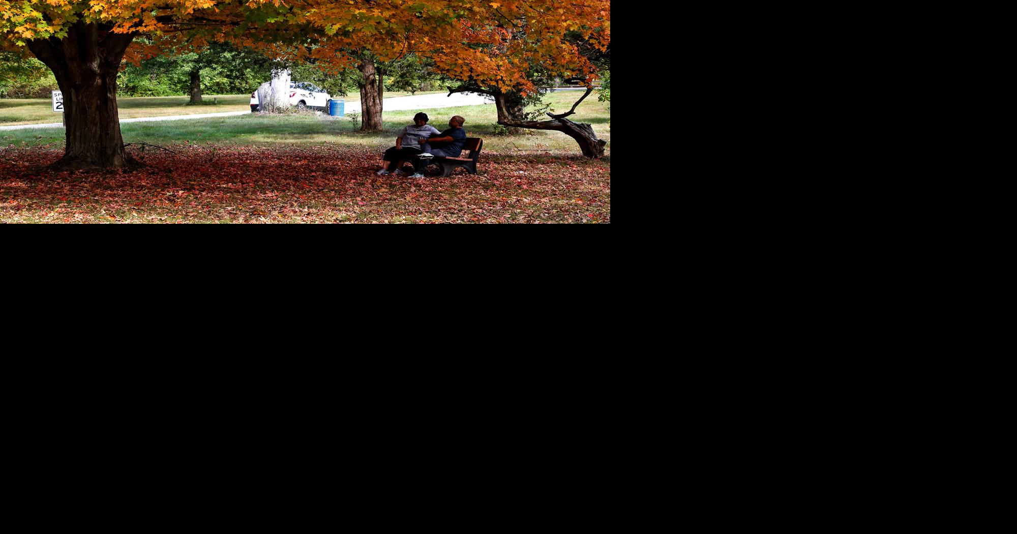 Springfield annual haunting event continues with a twist | News ...