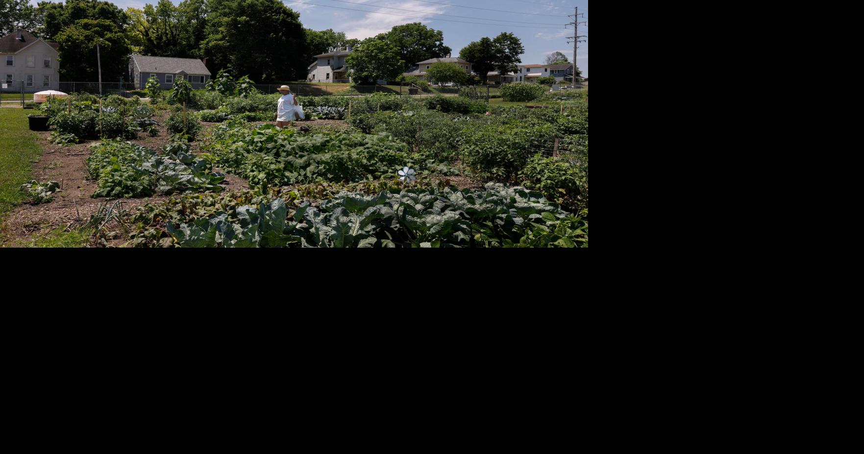 Grilling in the Garden to serve up fresh produce on Saturday | News ...
