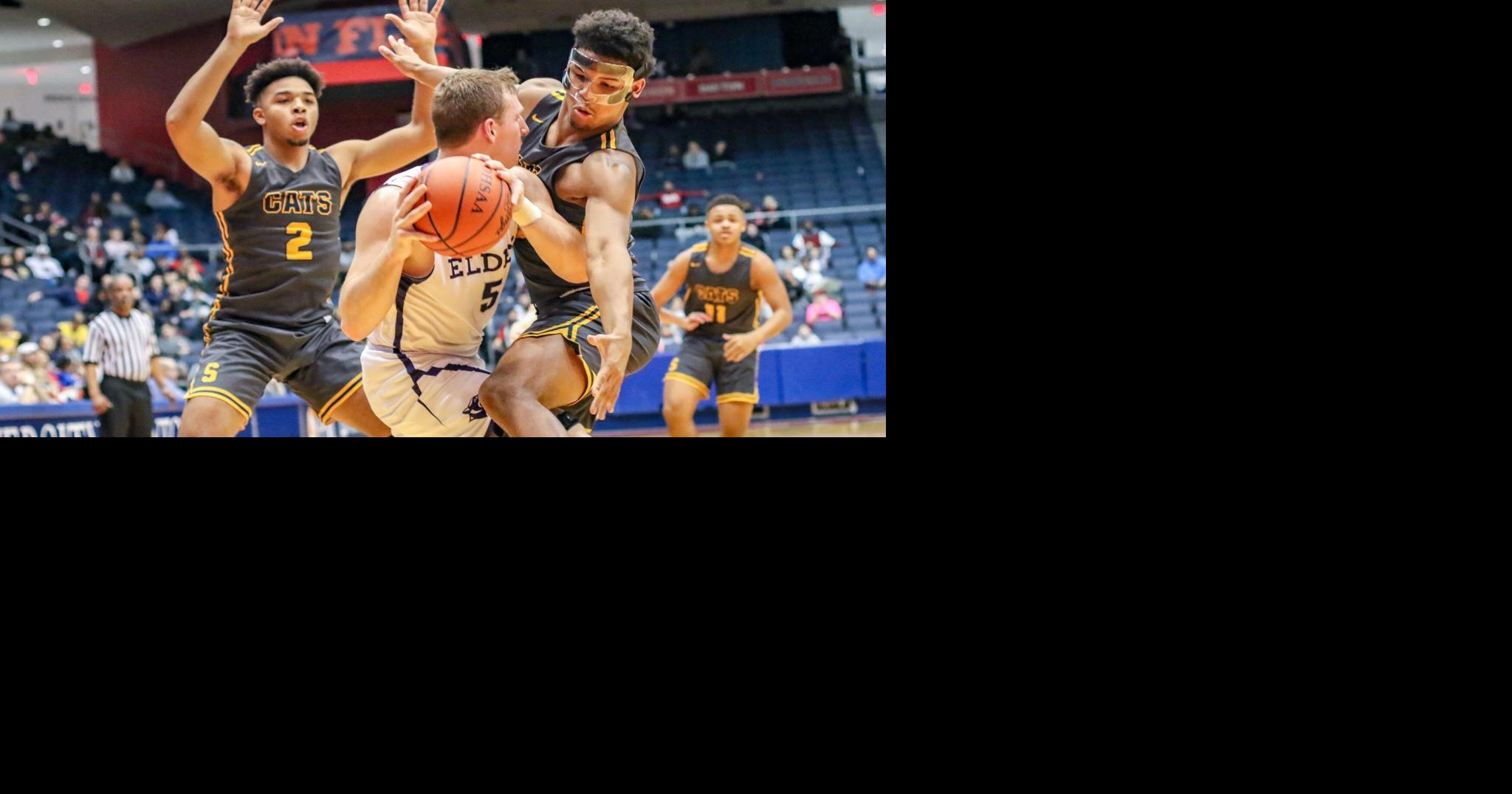 Springfield Wildcats advance to Division I regional semifinals | Sports ...