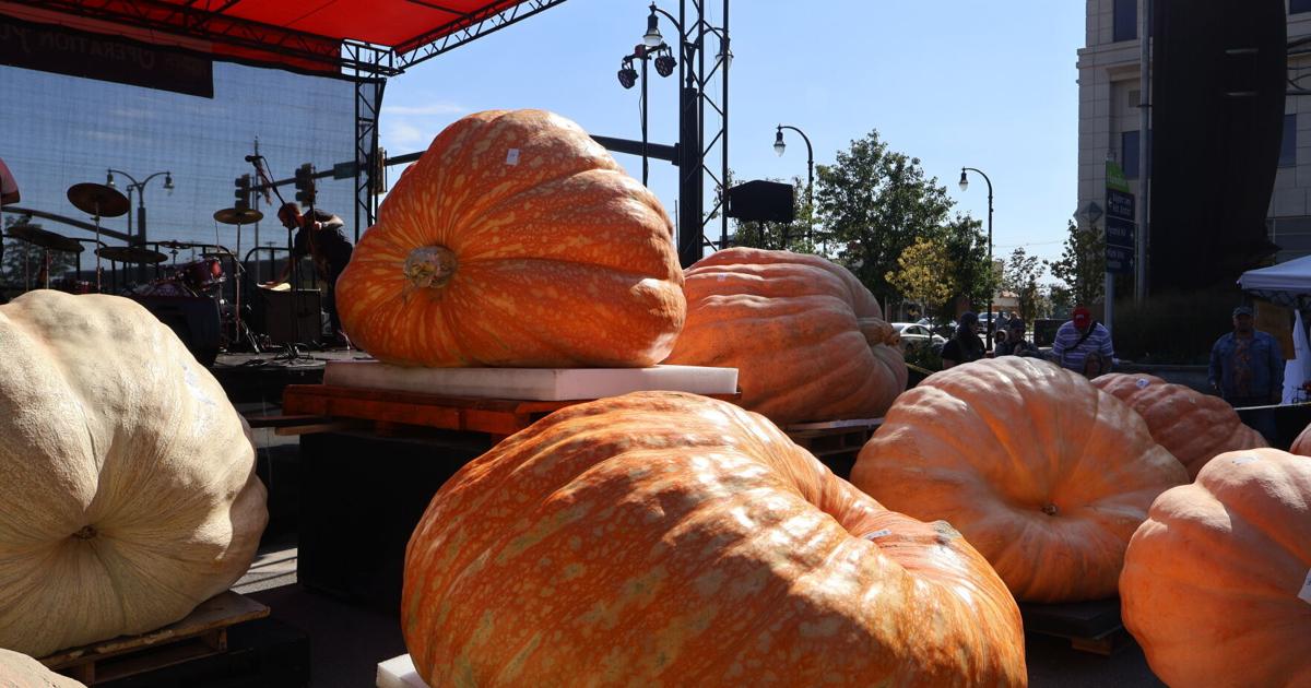 Things to do in southwest Ohio this weekend: Halloween festivals, Oktoberfest, ‘The Notebook’ and plenty more
