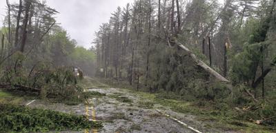 Storms Flatten Trees At Rb Local News Standard Journal Com