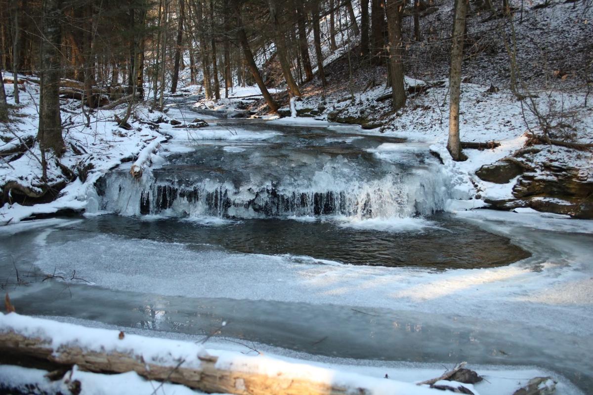 Winter Wonderland Greets Visitors To State Forests Standard