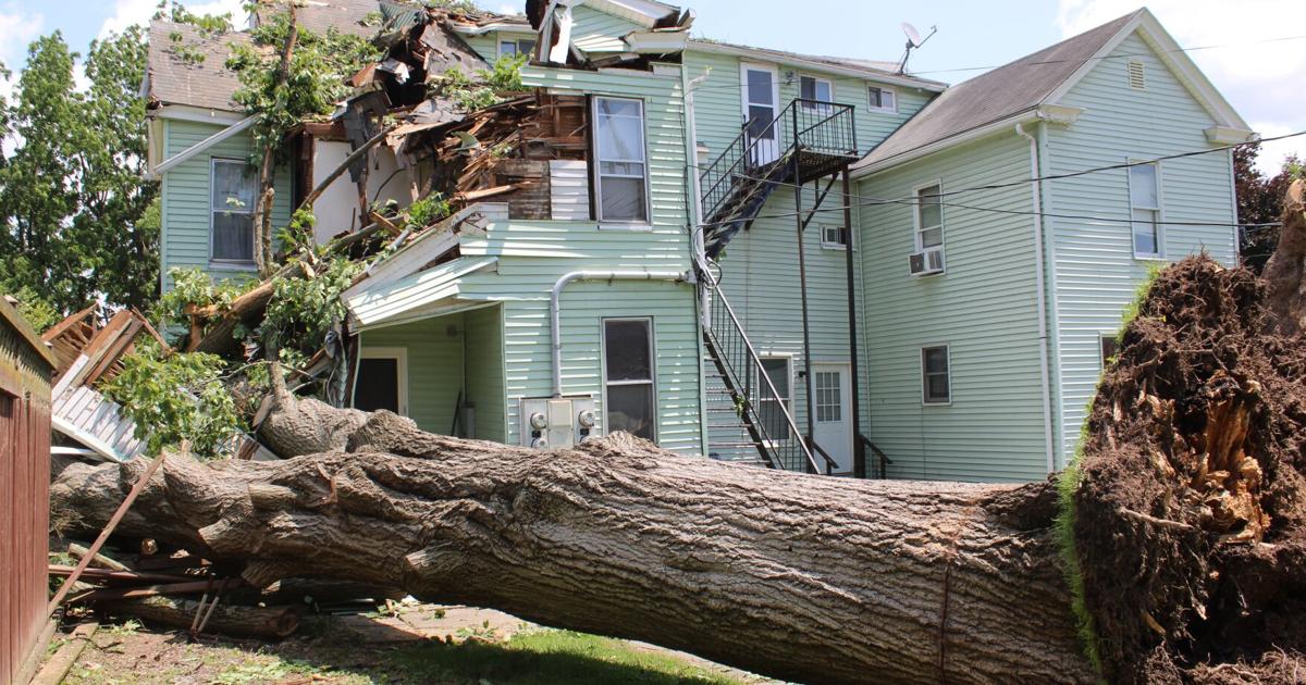 Toppled tree displaces Lewisburg residents | Local News | standard ...