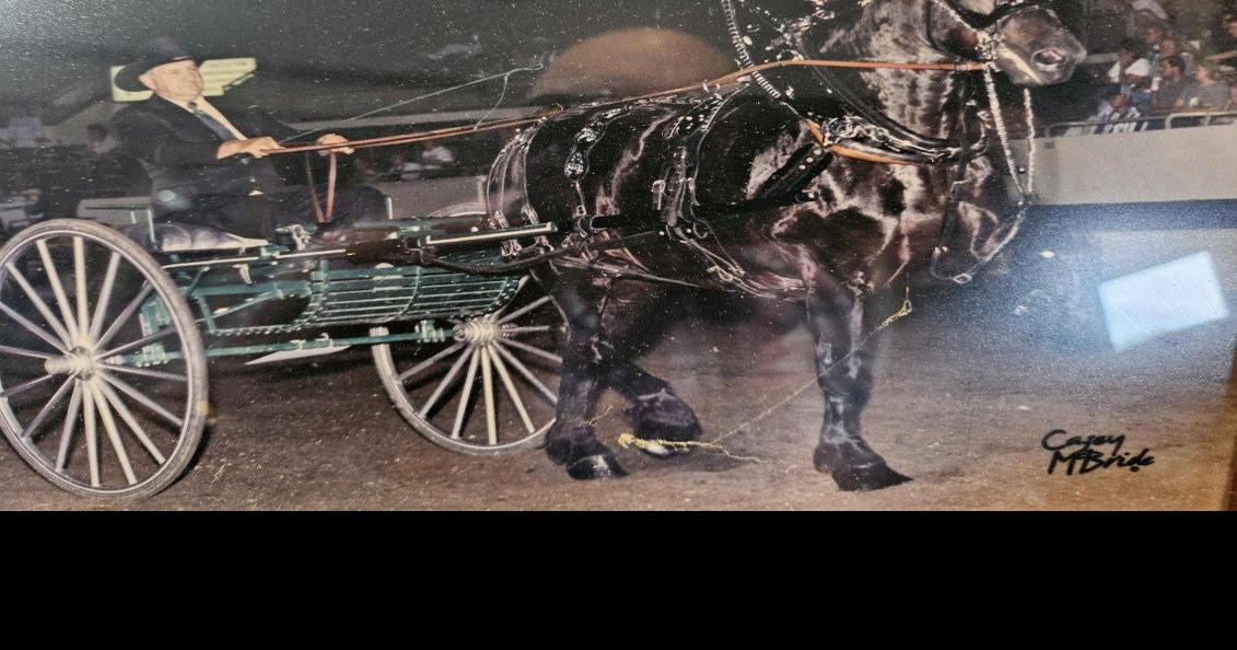 WEEKENDER Turbotvillearea man to a Hall of Famer Local News