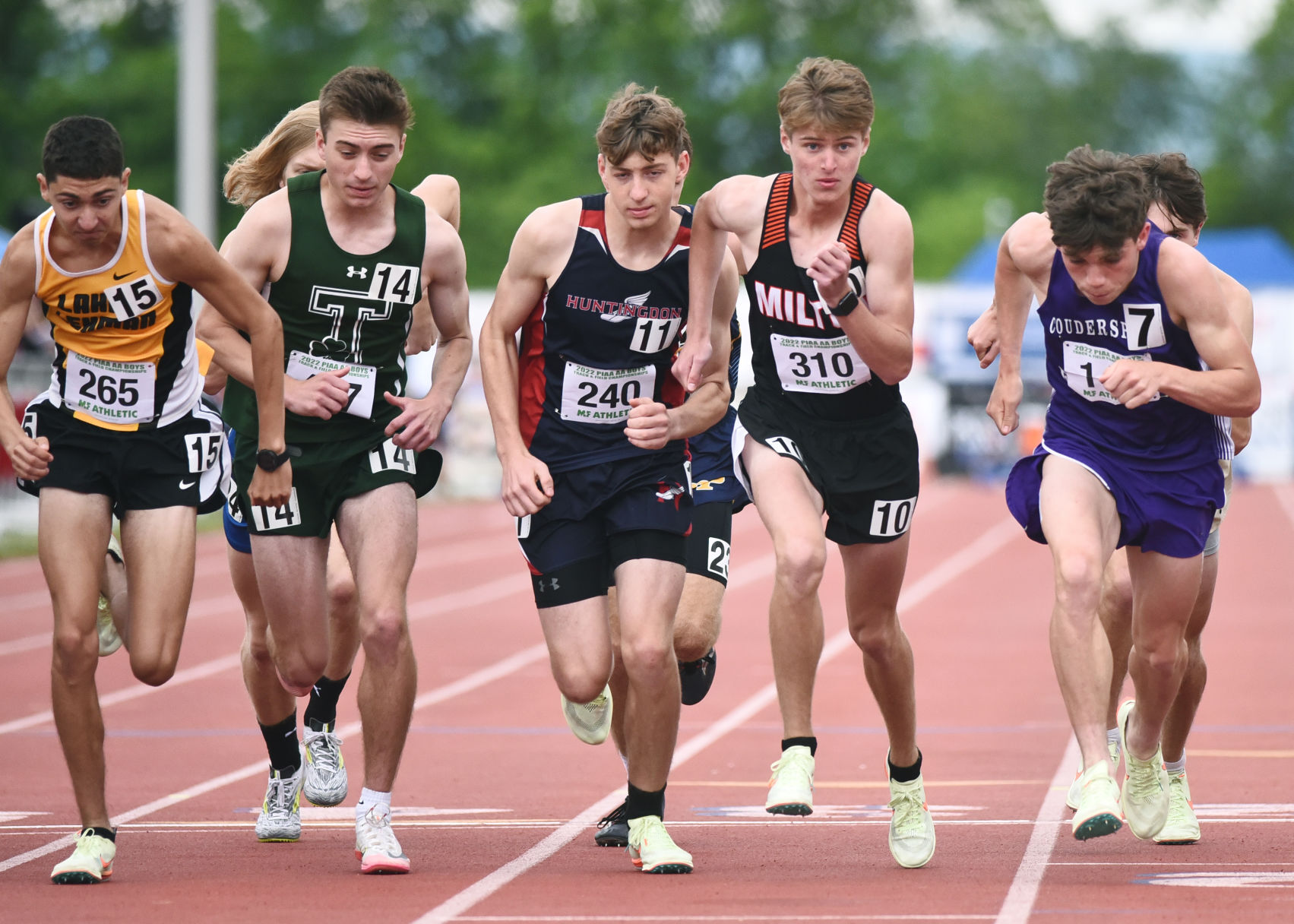 Locals medal at state track championships Local standard