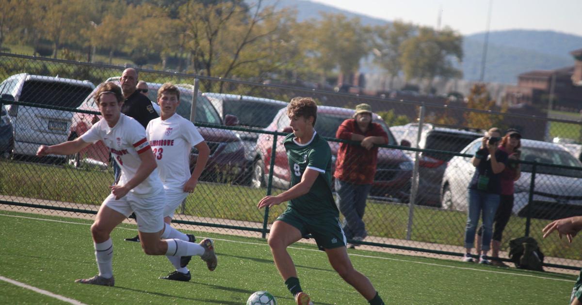 Lewisburg gets out to early lead, beats Selinsgrove | Local | standard ...