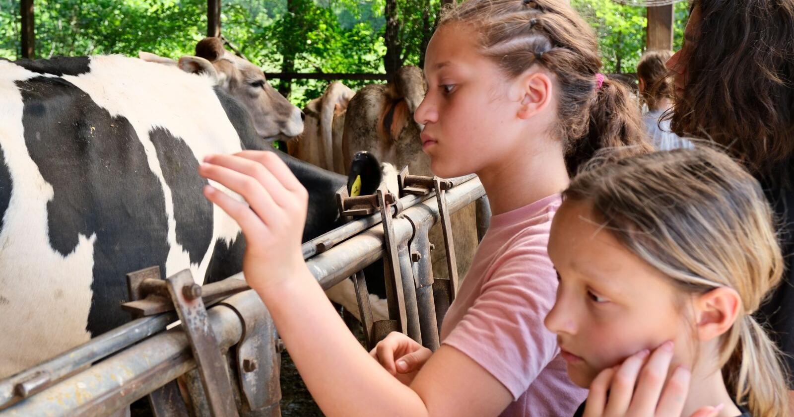 Milton students immersed in agriculture - Vimarsana News
