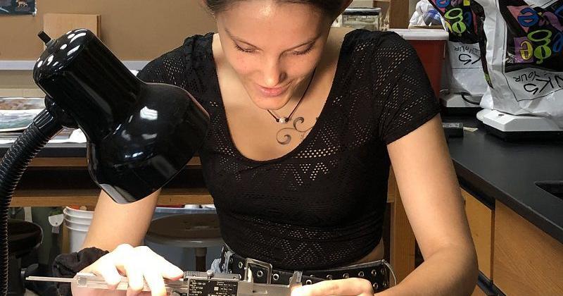 Paleontologists uncover 362-million-year-old jaw specimens - Vimarsana News