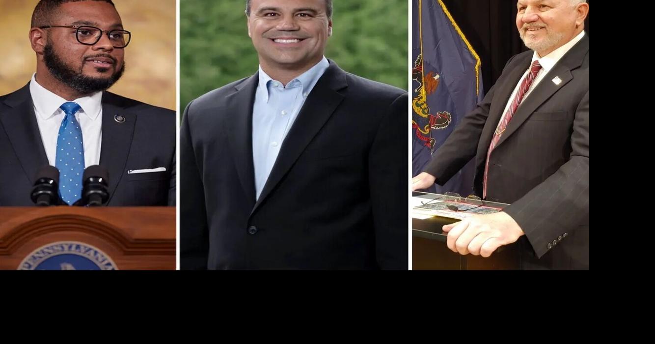 A guide to candidates for lieutenant governor | Local News | standard ...