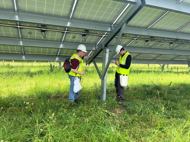 Researching a hidden habitat beneath a solar array | Local News ...