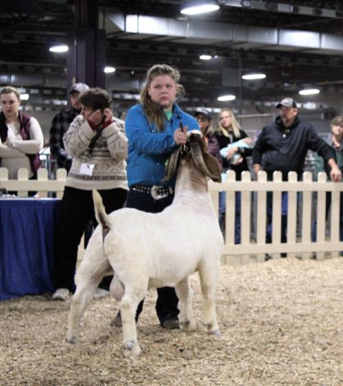 Montour Countian participated in Farm Show