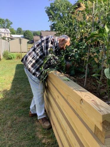 Elevated garden construction