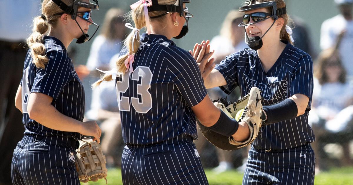 Mifflinburg softball | Sports | standard-journal.com