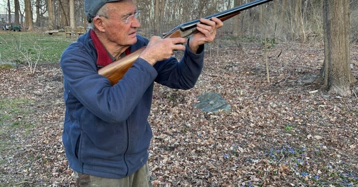 Live pigeon shoots in the Keystone state - Vimarsana News