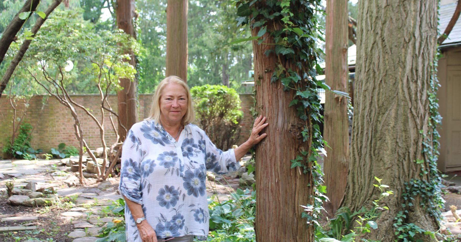 Sprucing up Packwood House - Vimarsana News