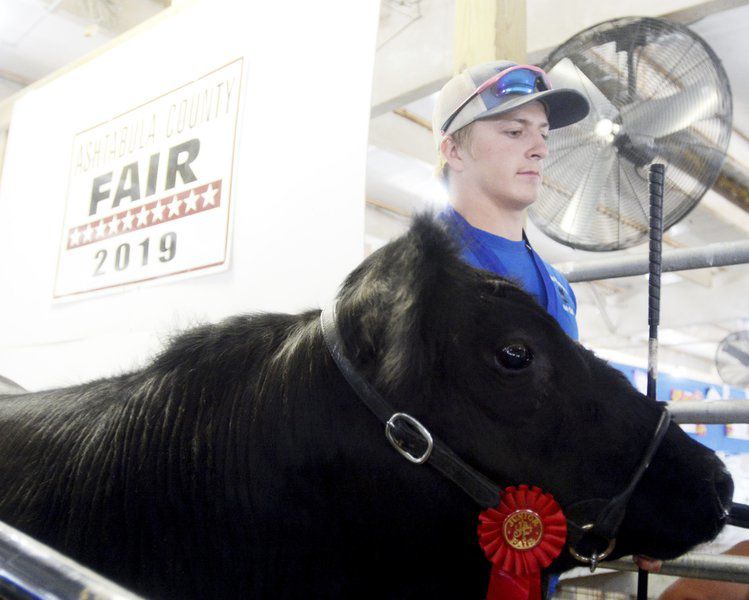 Hundreds of 4-Hers participate in the Ashtabula County Fair Market Animal Sale