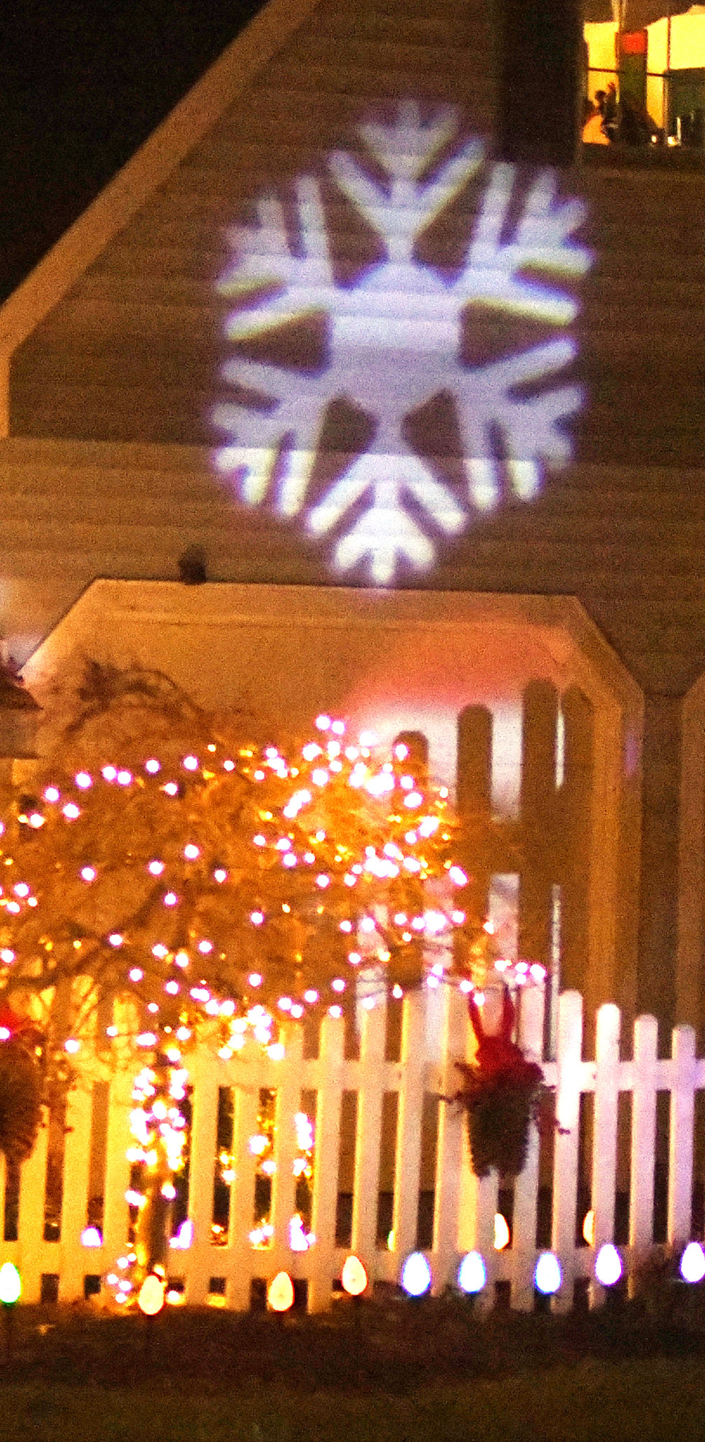 1229 holiday lights 5