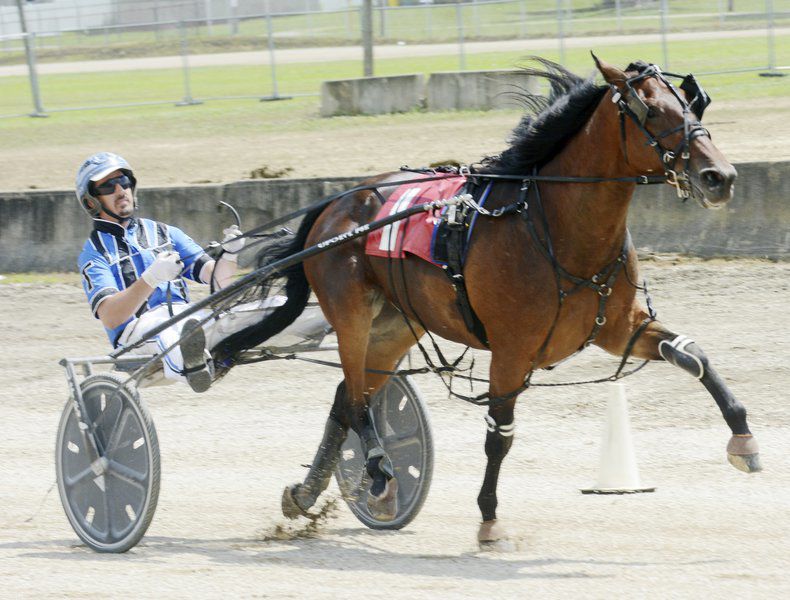 Rooster crowing, harness racing, monster trucks and sunny skies draw crowds to Day 3 of Ashtabula County Fair