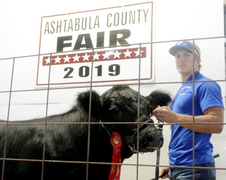 Hundreds of 4-Hers participate in the Ashtabula County Fair Market Animal Sale