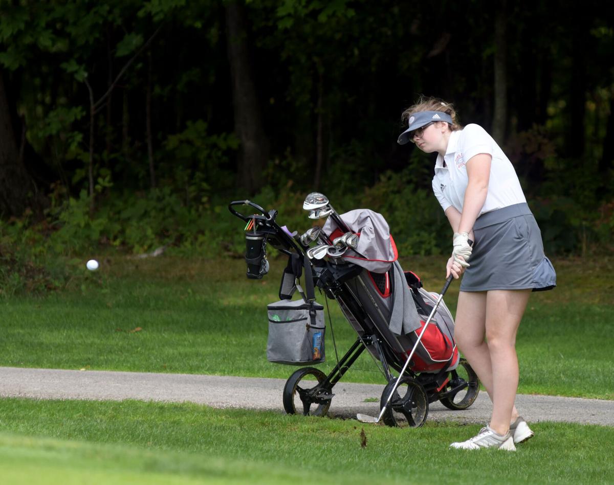 0915 cvc golf 5