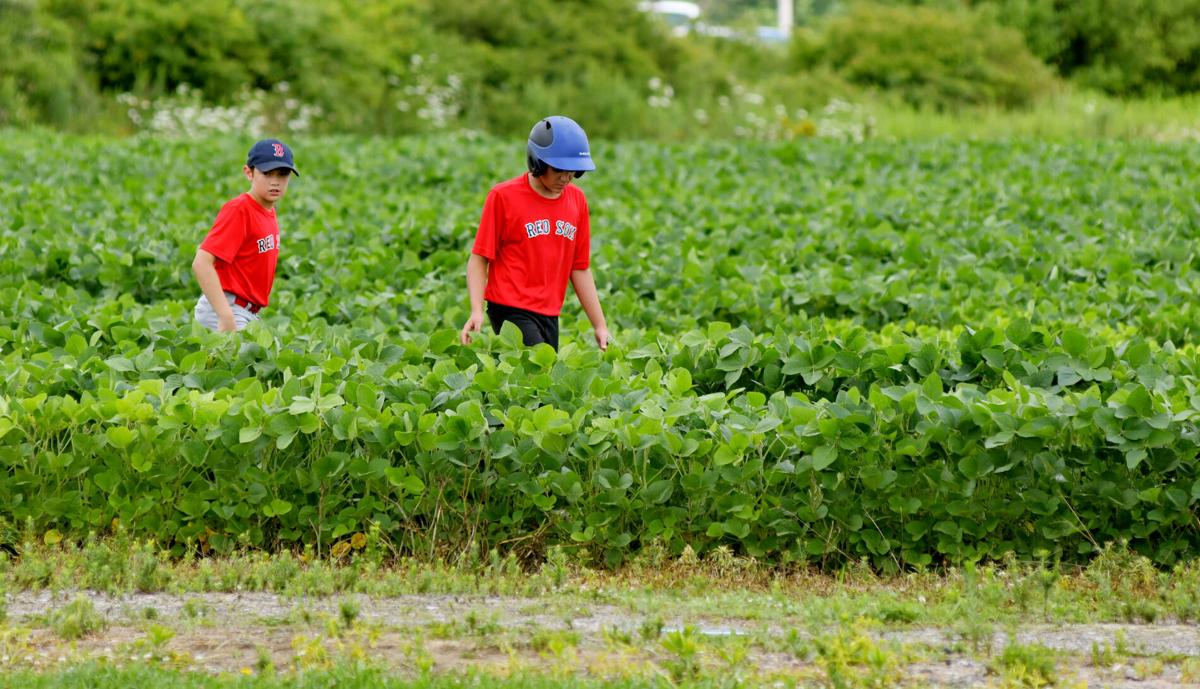 0726 little league 18