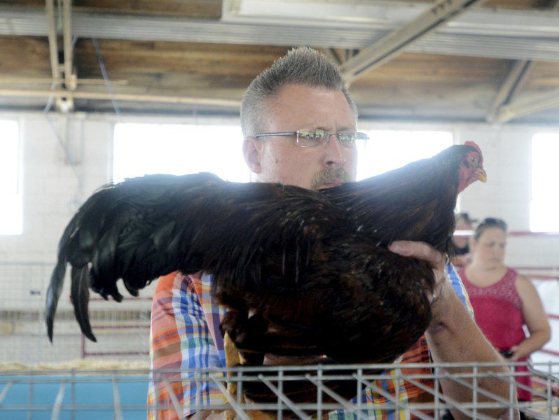Hot and rainy, of course, on the first day of the Ashtabula County Fair