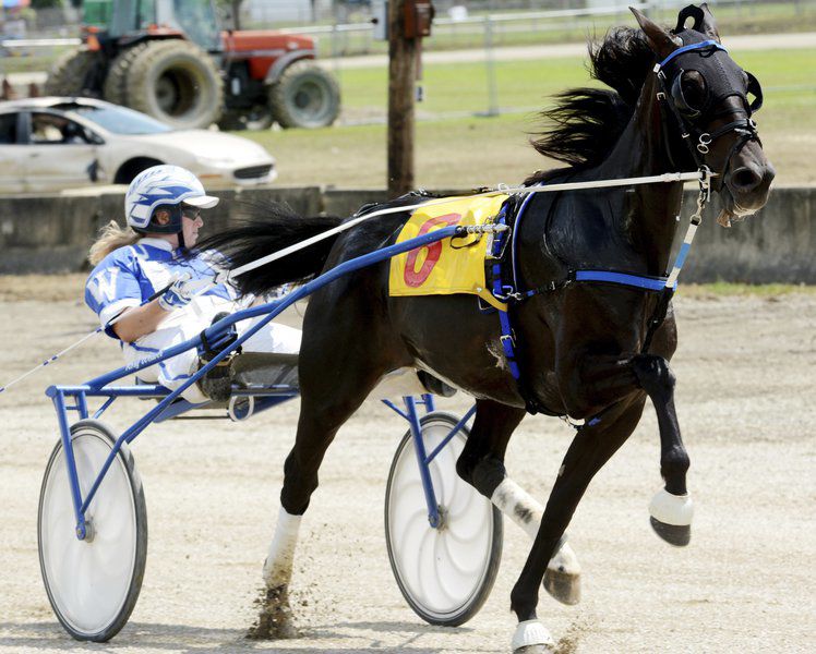Rooster crowing, harness racing, monster trucks and sunny skies draw crowds to Day 3 of Ashtabula County Fair