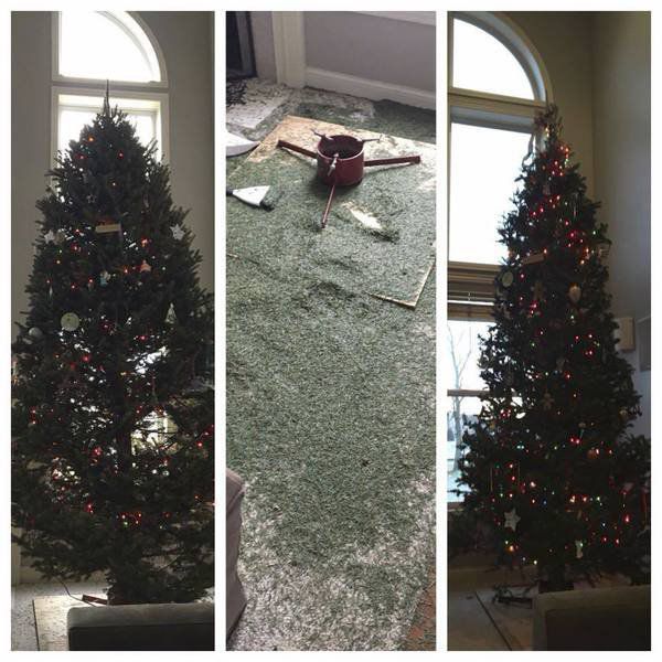 readers share favorite christmas tree stories local news readers share favorite christmas tree stories