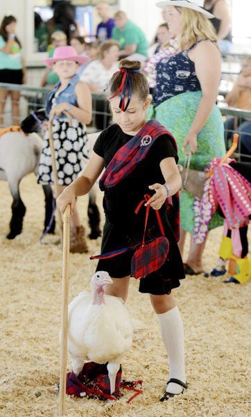 Sunny weather draws visitors to Ashtabula County Fair