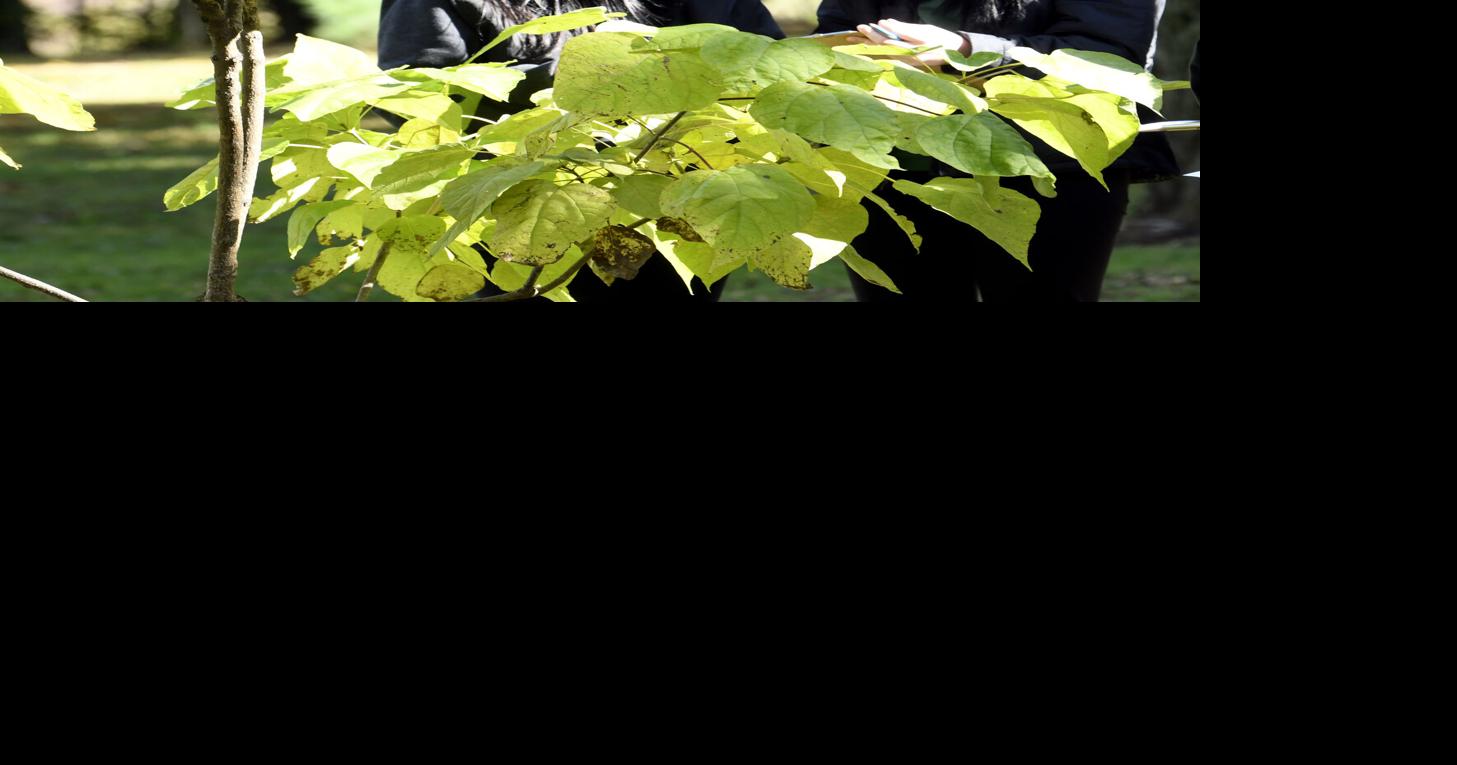 Students learn botany, cooperation | News | starbeacon.com