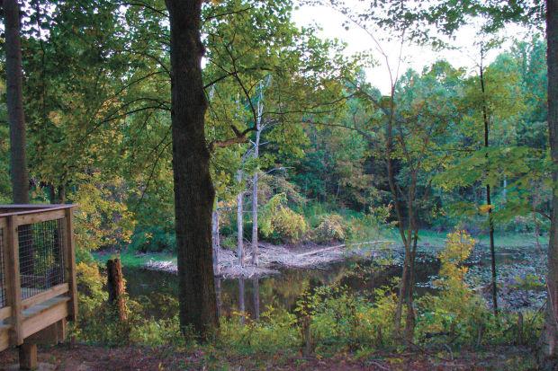 Nature Conservancy To Open 1 000 Acre Preserve To The Public Starbeacon Com