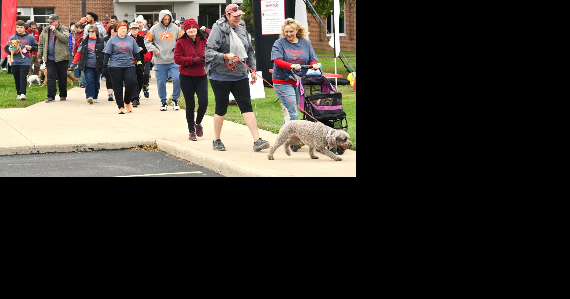 Is Walking Good For Dogs With Congestive Heart Failure