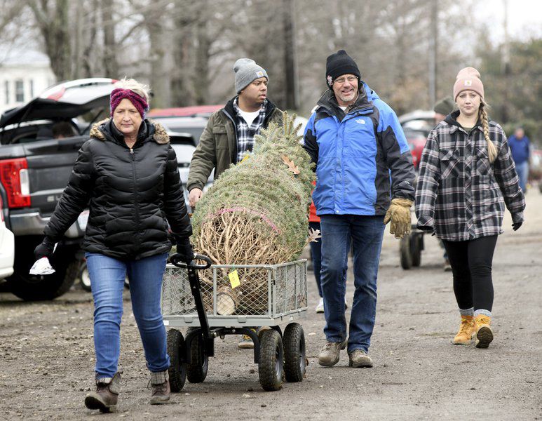 Ashtabula County tree farms ready for Christmas Local News