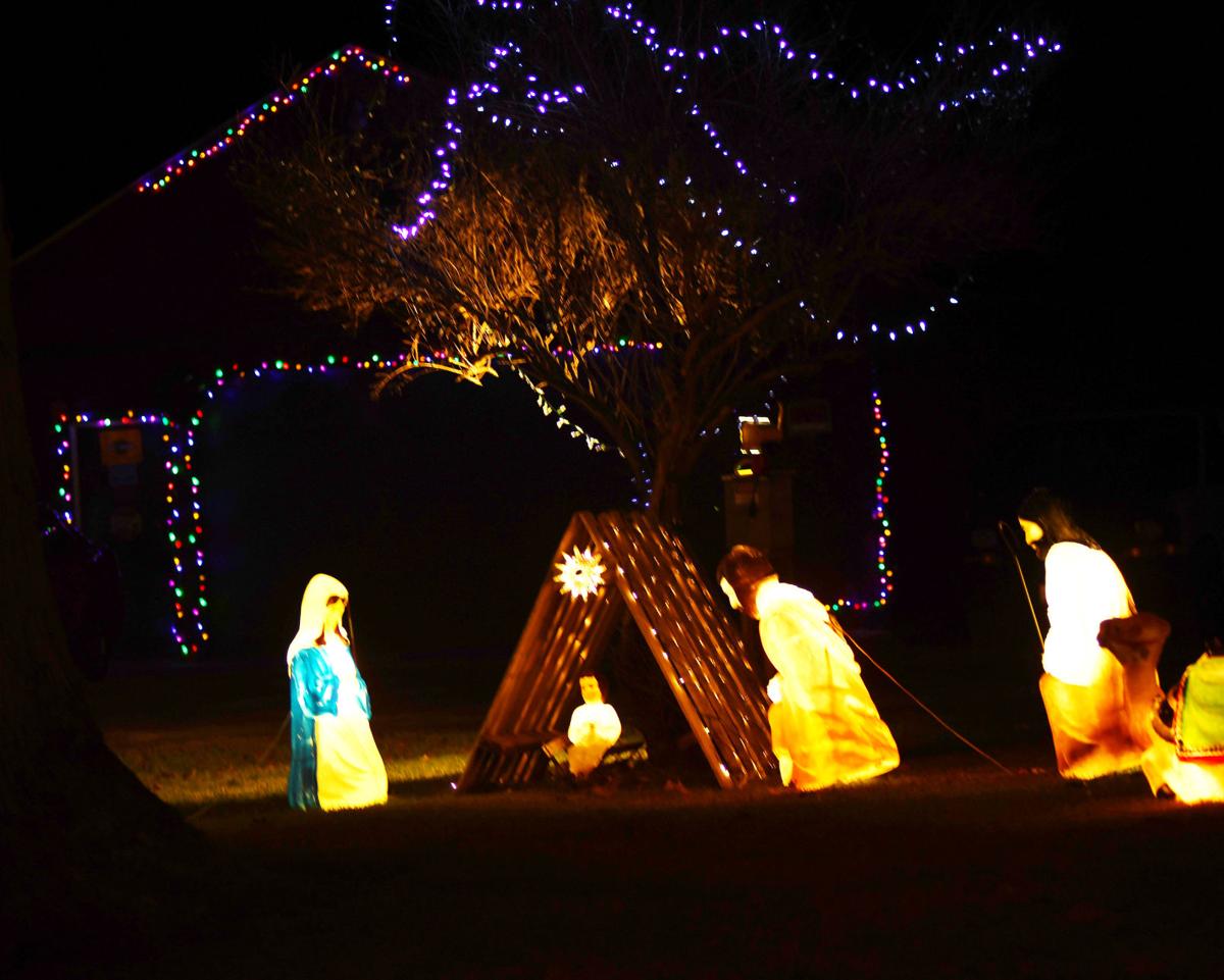 1229 holiday lights 9