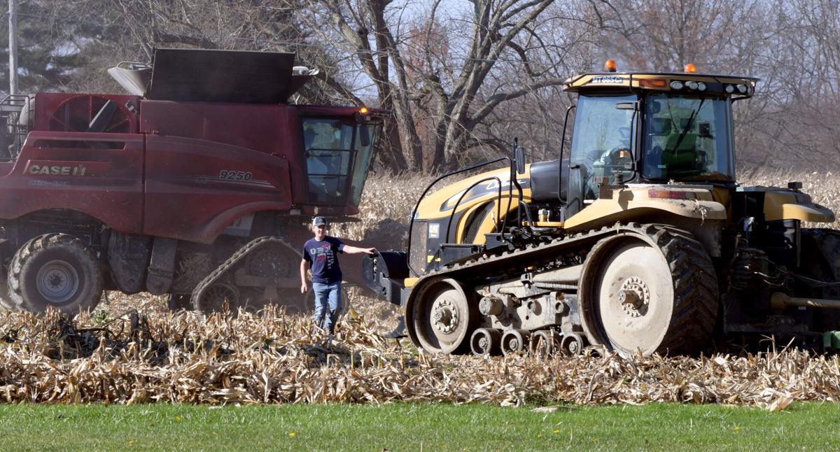 1116 late harvest 2