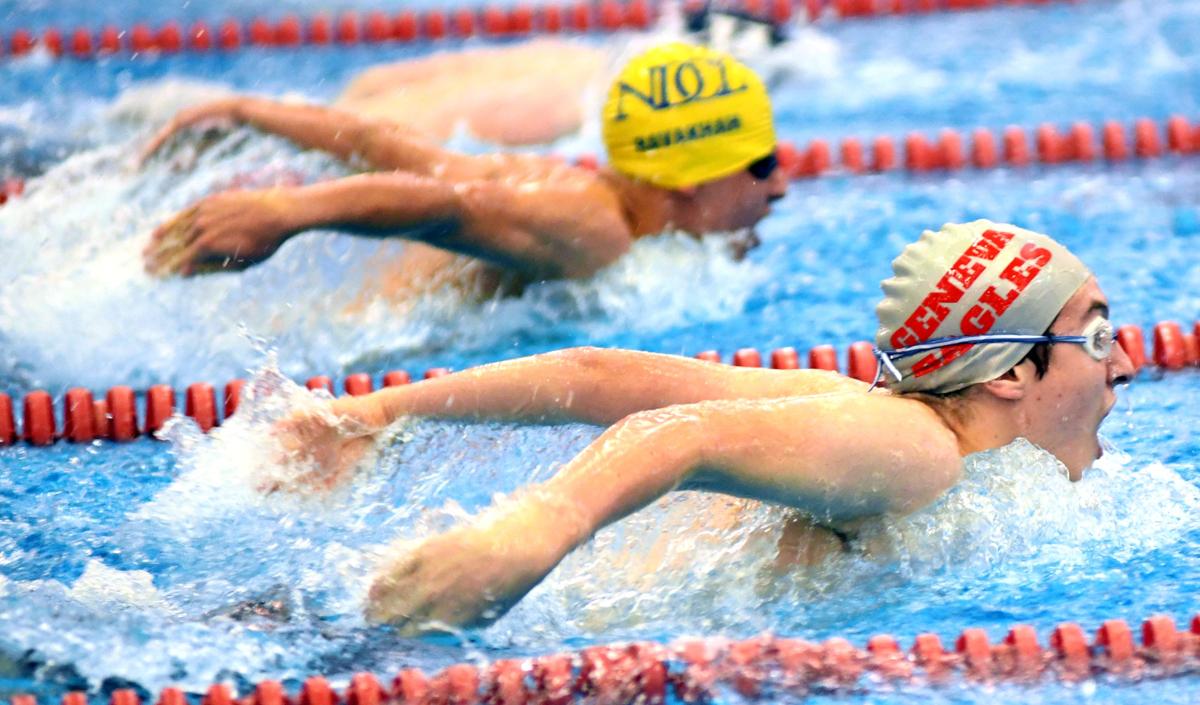 0208 sectional swimming 8