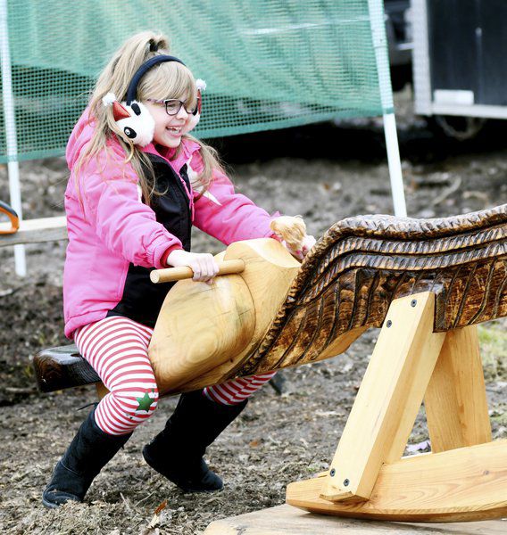 Ashtabula County tree farms ready for Christmas Local News