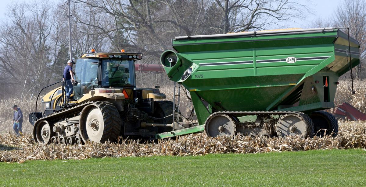 1116 late harvest 3