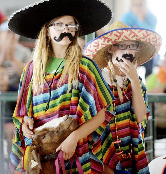 Sunny weather draws visitors to Ashtabula County Fair