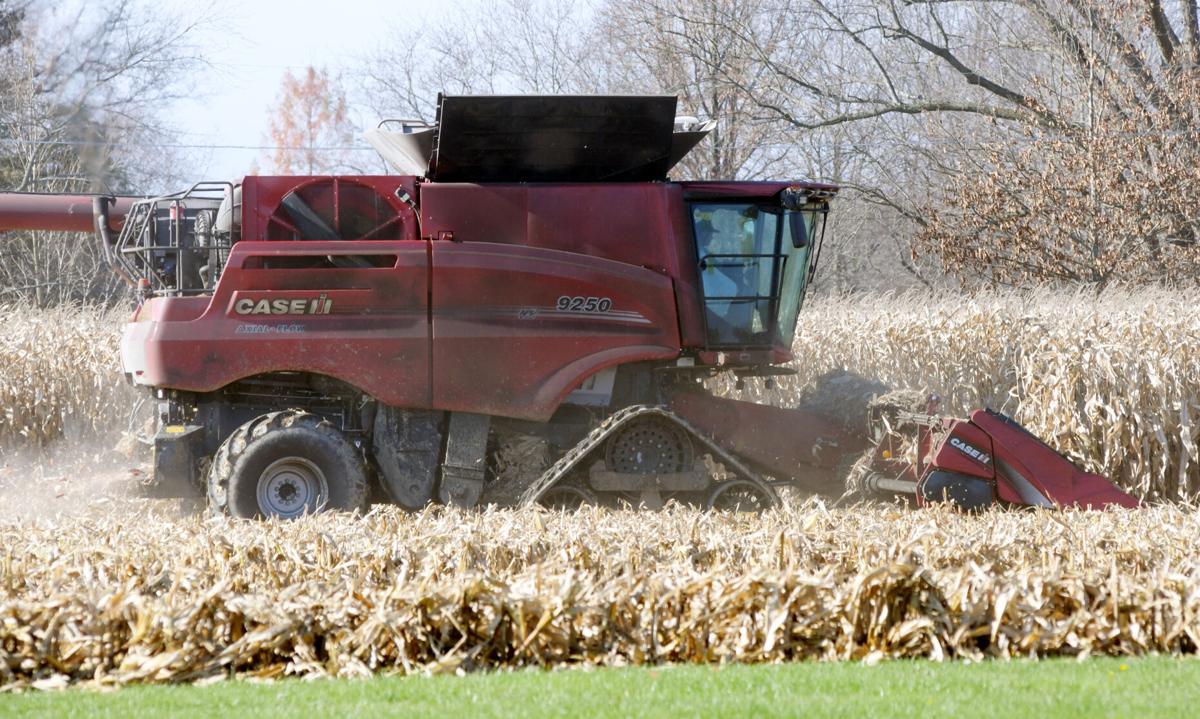1116 late harvest 4