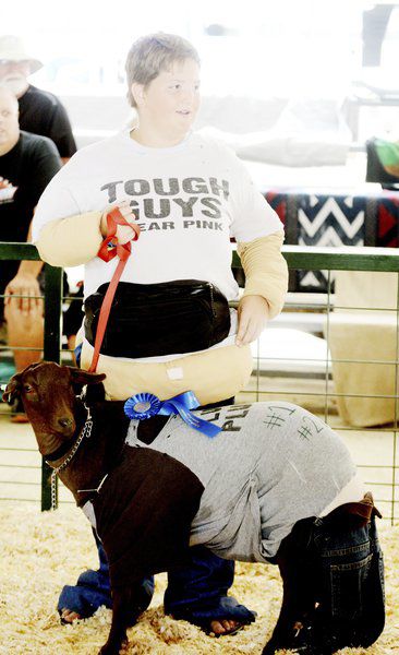 Sunny weather draws visitors to Ashtabula County Fair