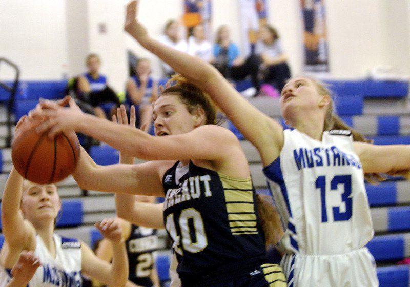Taylor To Continue Basketball Career At Allegheny College Local
