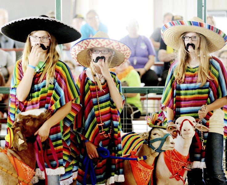 Sunny weather draws visitors to Ashtabula County Fair