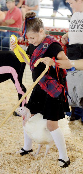 Sunny weather draws visitors to Ashtabula County Fair