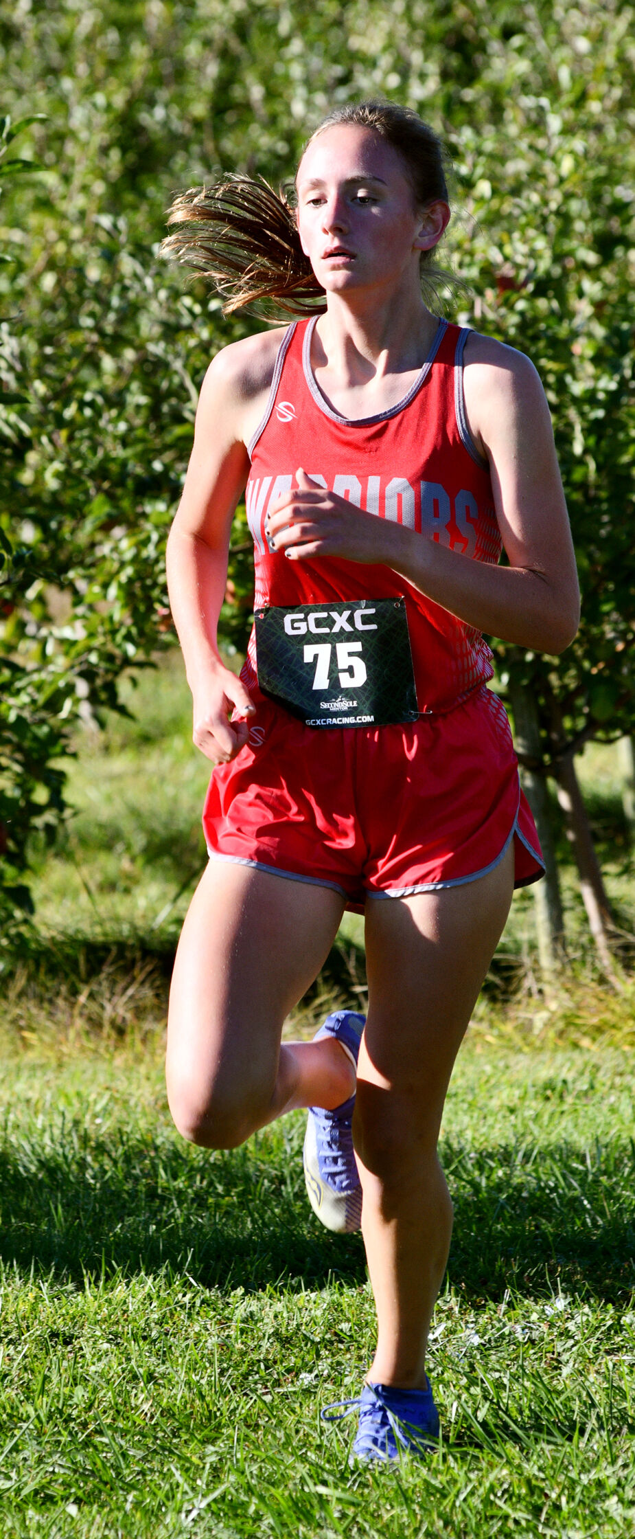 0929 county xc 24