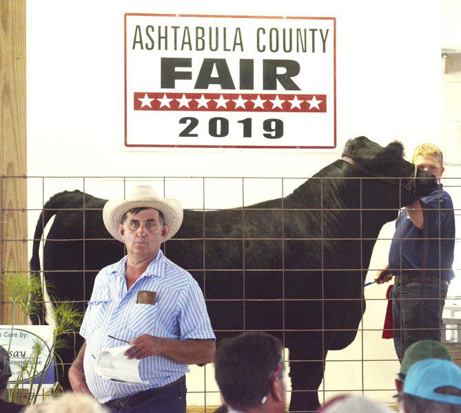 Hundreds of 4-Hers participate in the Ashtabula County Fair Market Animal Sale